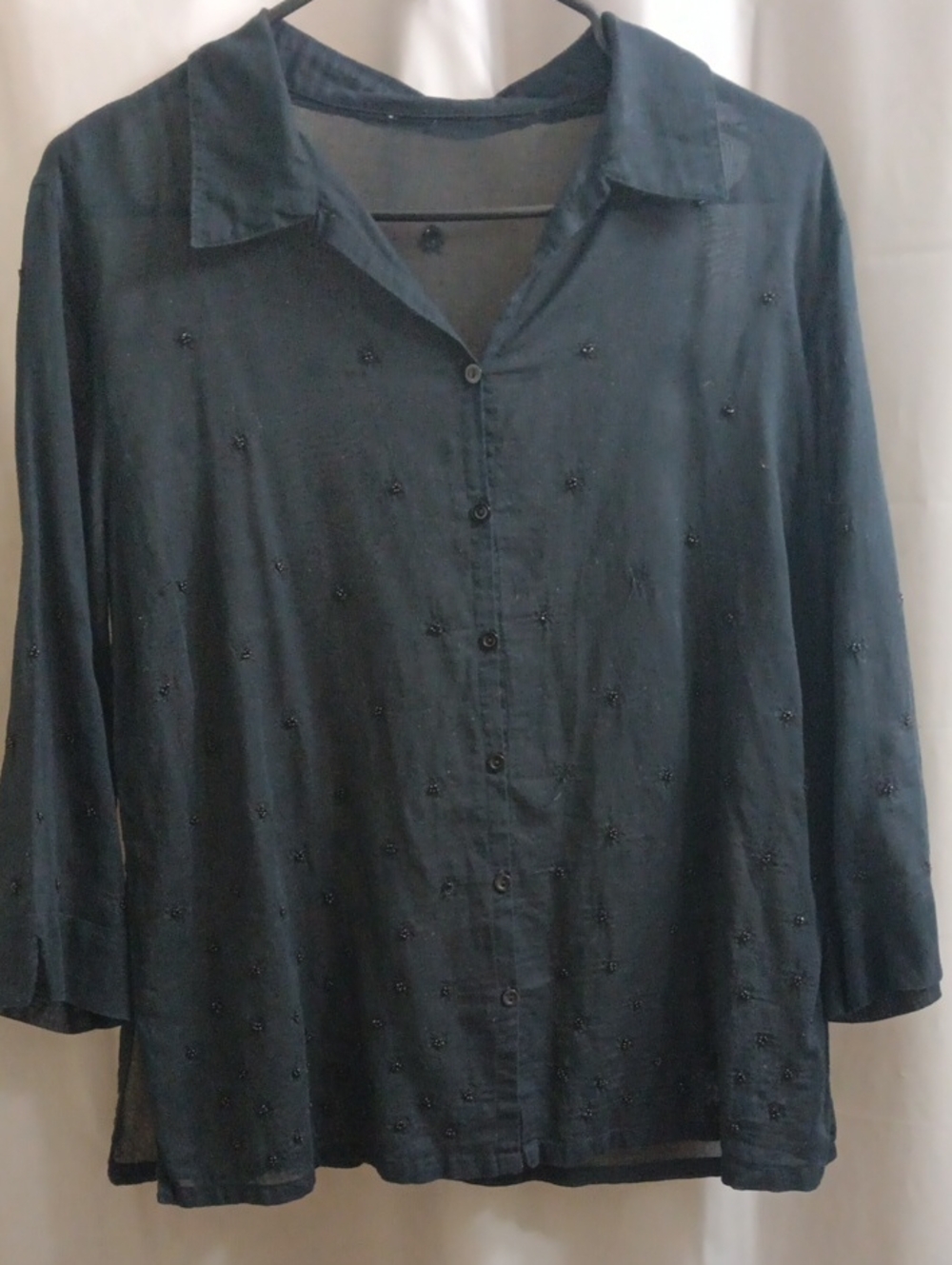 Black Long Sleeve Sheer Shirt with Embroidery